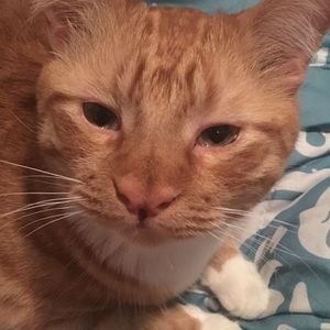 Meet your Posher, Savannah